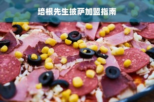 培根先生披萨加盟指南