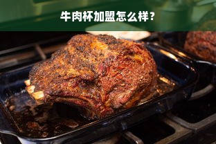 牛肉杯加盟怎么样？