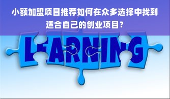 小额加盟项目推荐如何在众多选择中找到适合自己的创业项目？