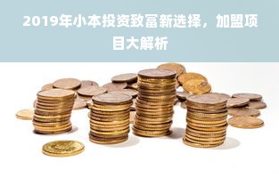 2019年小本投资致富新选择，加盟项目大解析