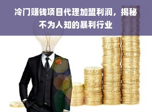 冷门赚钱项目代理加盟利润，揭秘不为人知的暴利行业