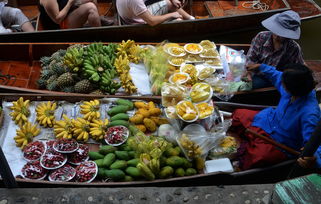 打造特色美食，实现旅游景区的经济效益与品牌价值的双重提升——深度解析旅游景区美食项目加盟方案