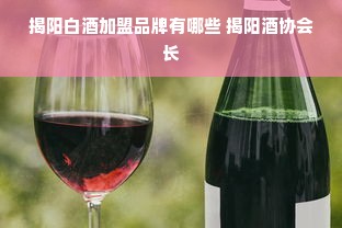 揭阳白酒加盟品牌有哪些 揭阳酒协会长