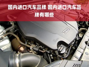 国内进口汽车品牌 国内进口汽车品牌有哪些