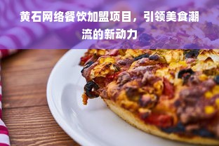 黄石网络餐饮加盟项目，引领美食潮流的新动力