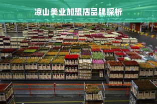 凉山美业加盟店品牌探析