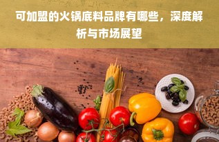 可加盟的火锅底料品牌有哪些，深度解析与市场展望