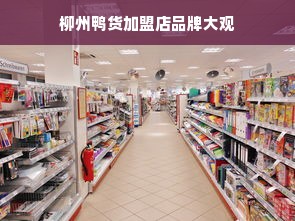 柳州鸭货加盟店品牌大观