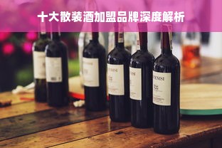 十大散装酒加盟品牌深度解析