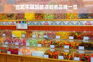 合肥牛腩加盟店知名品牌一览