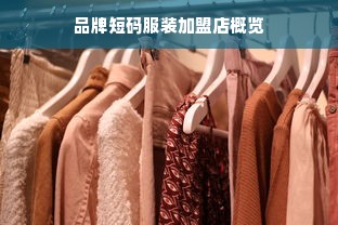 品牌短码服装加盟店概览