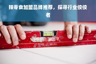 辣零食加盟品牌推荐，探寻行业佼佼者