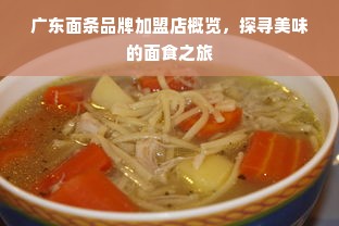 广东面条品牌加盟店概览，探寻美味的面食之旅