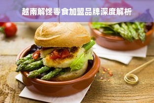 越南解馋零食加盟品牌深度解析