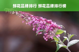 鲜花品牌排行 鲜花品牌排行榜