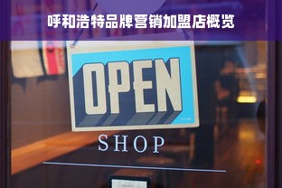 呼和浩特品牌营销加盟店概览