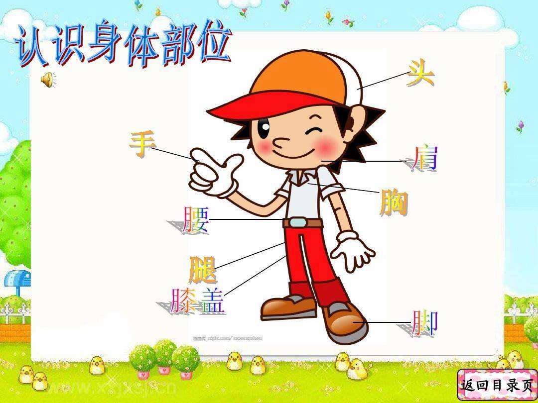 认识幼儿园,图形的认识幼儿园