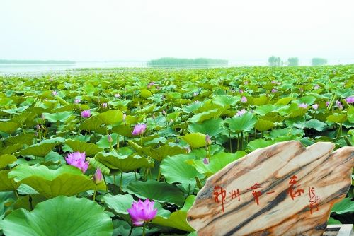 淮阳旅游景点大全,淮阳旅游景点大全排名