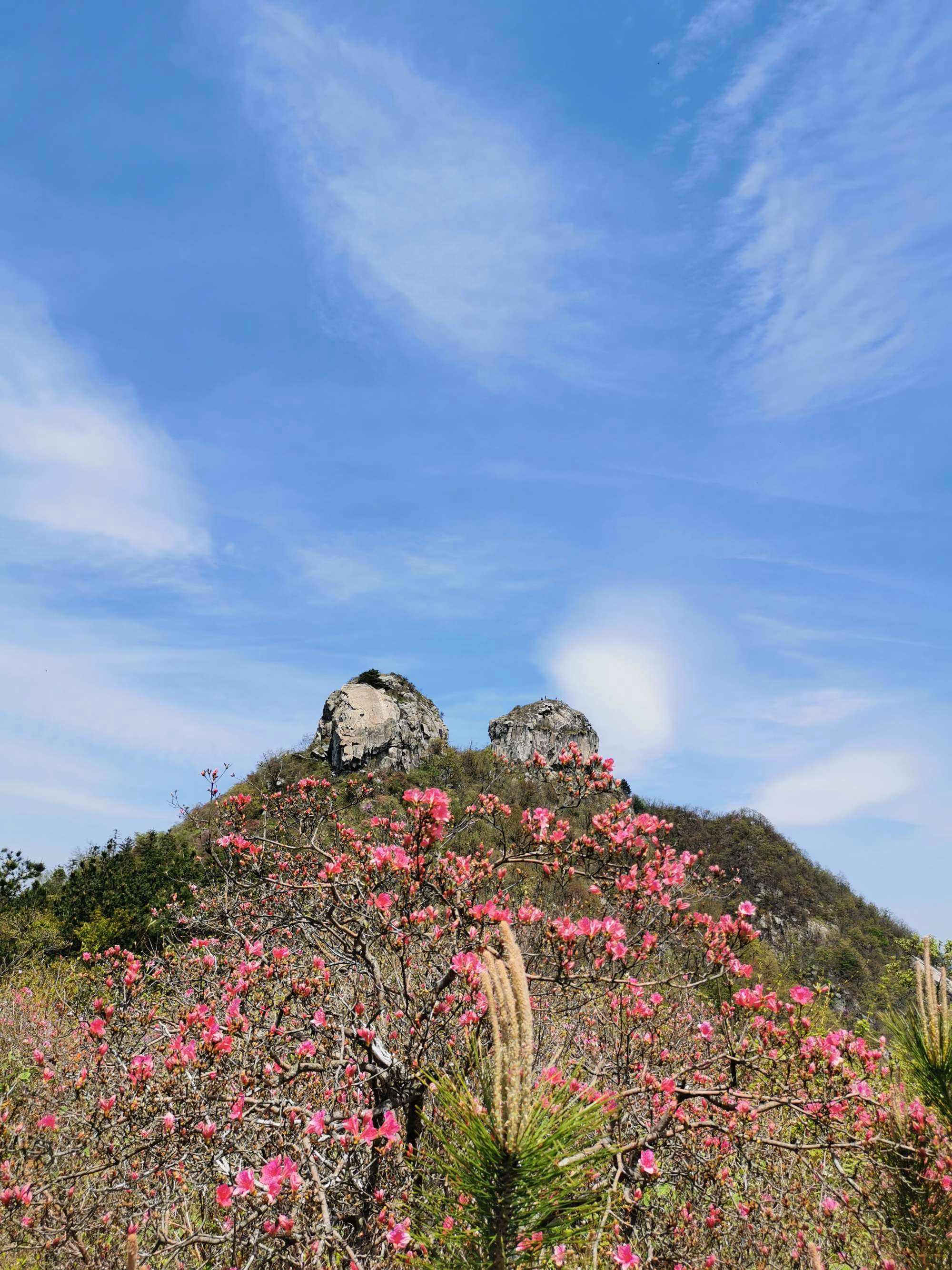 英山风景 英山风景句子