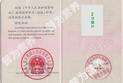 公共营养师查询 公共营养师查询官网