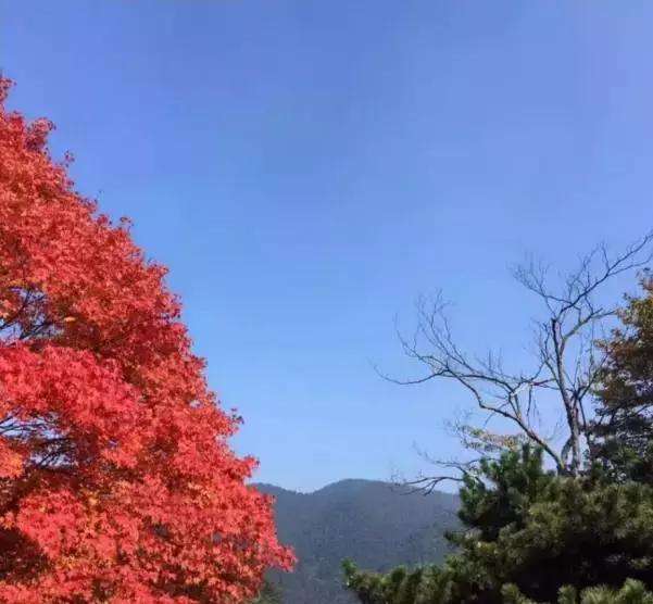 江西风景独好公众号 江西风景这边独好旅游推介会