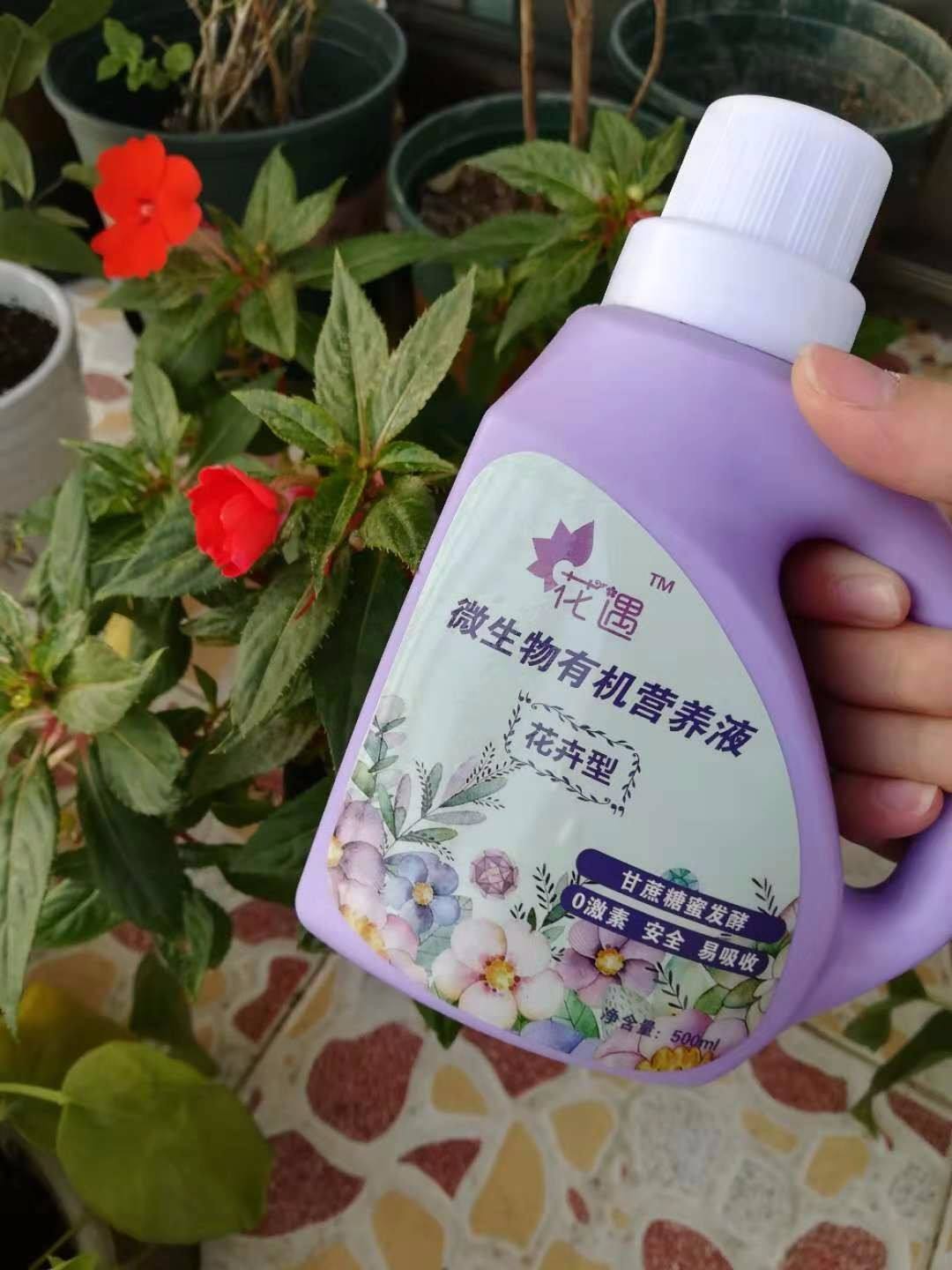 花营养液有毒吗 鲜花营养液有毒吗