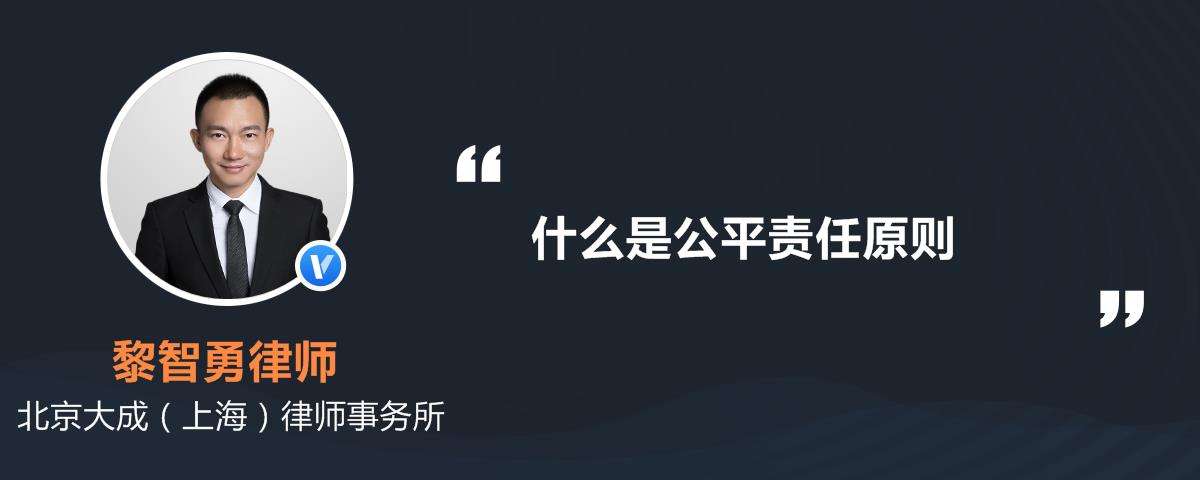 论当事人诉讼平等原则 论当事人诉讼平等原则的认识