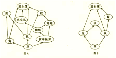 食物链中的营养级 食物链中的营养级由低级到高级依次是什么