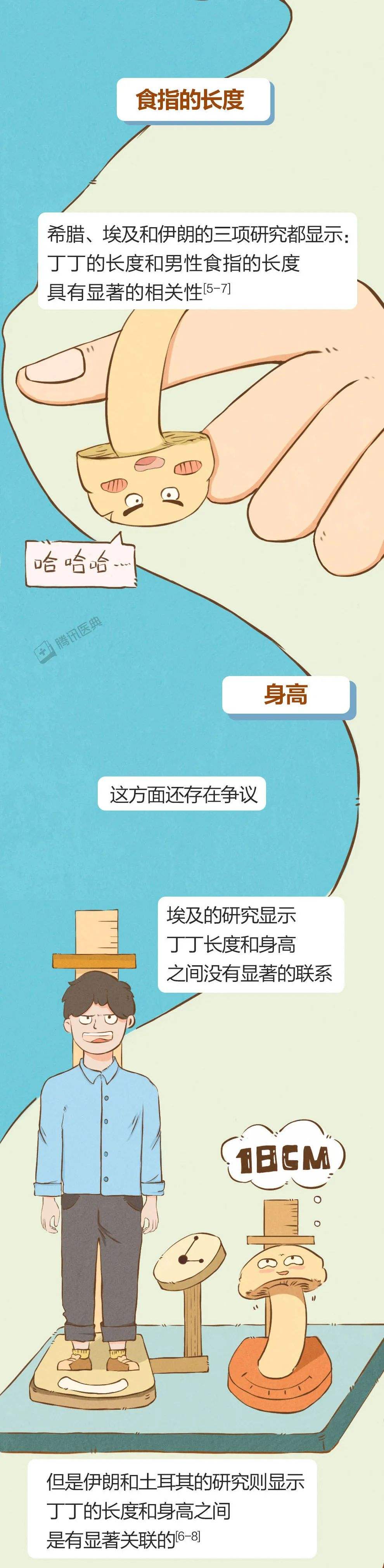 刚果男人为什么丁丁大 