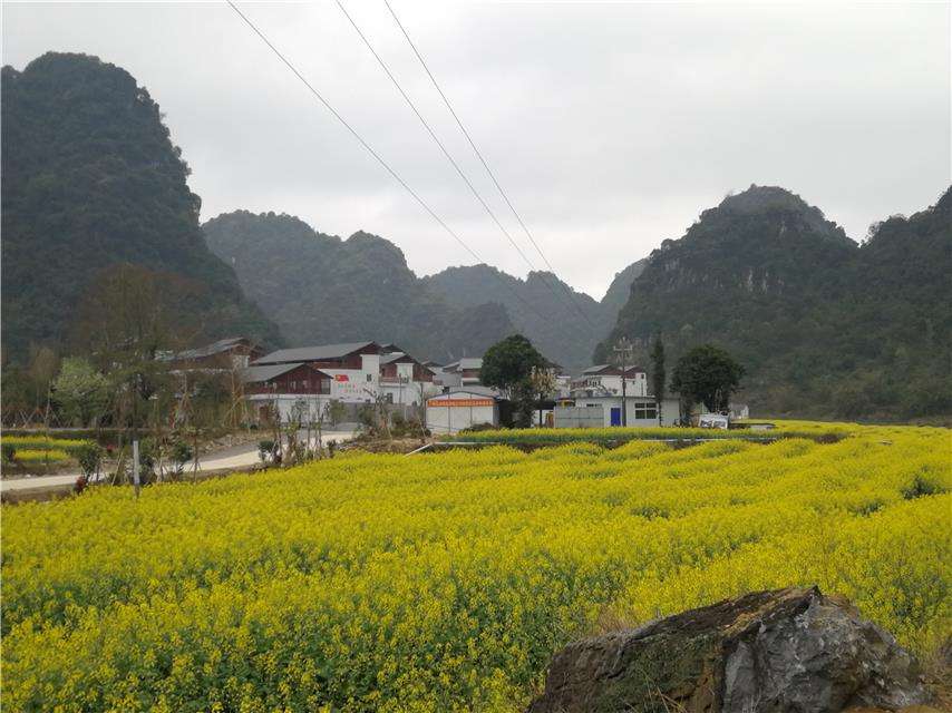 百色田阳旅游景点 百色田阳旅游景点大全