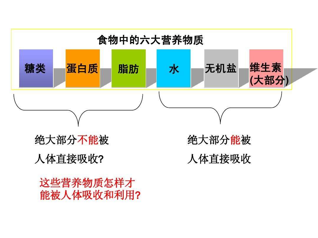 六大营养物质 六大营养物质的吸收形式,吸收途径