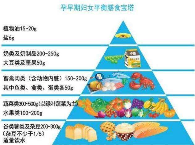 怀孕初期应补充什么营养 怀孕初期补充什么营养品比较好?