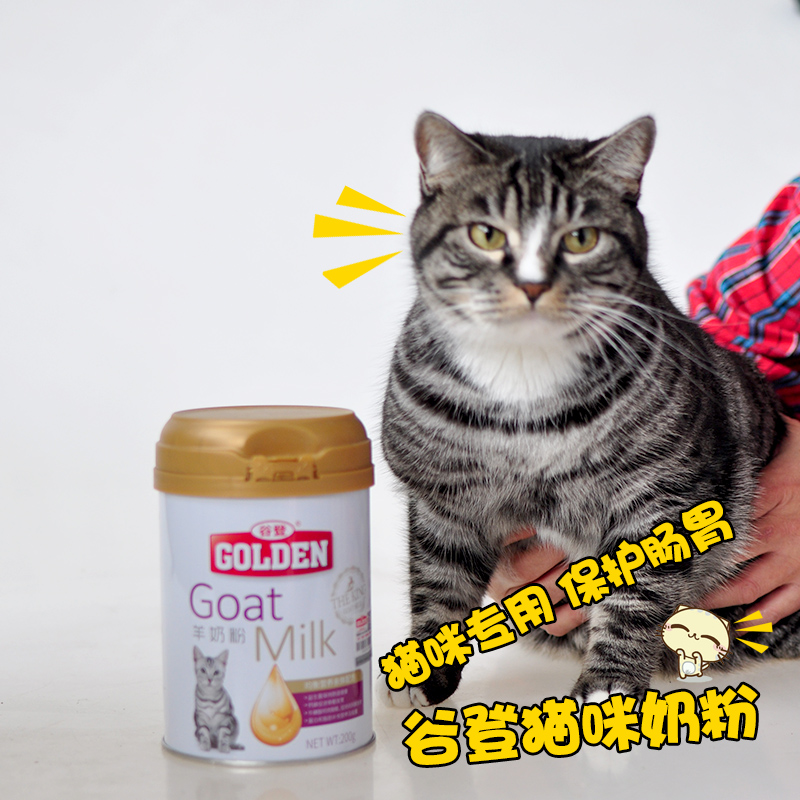 猫咪奶粉怎么冲 猫咪奶粉怎么冲最好