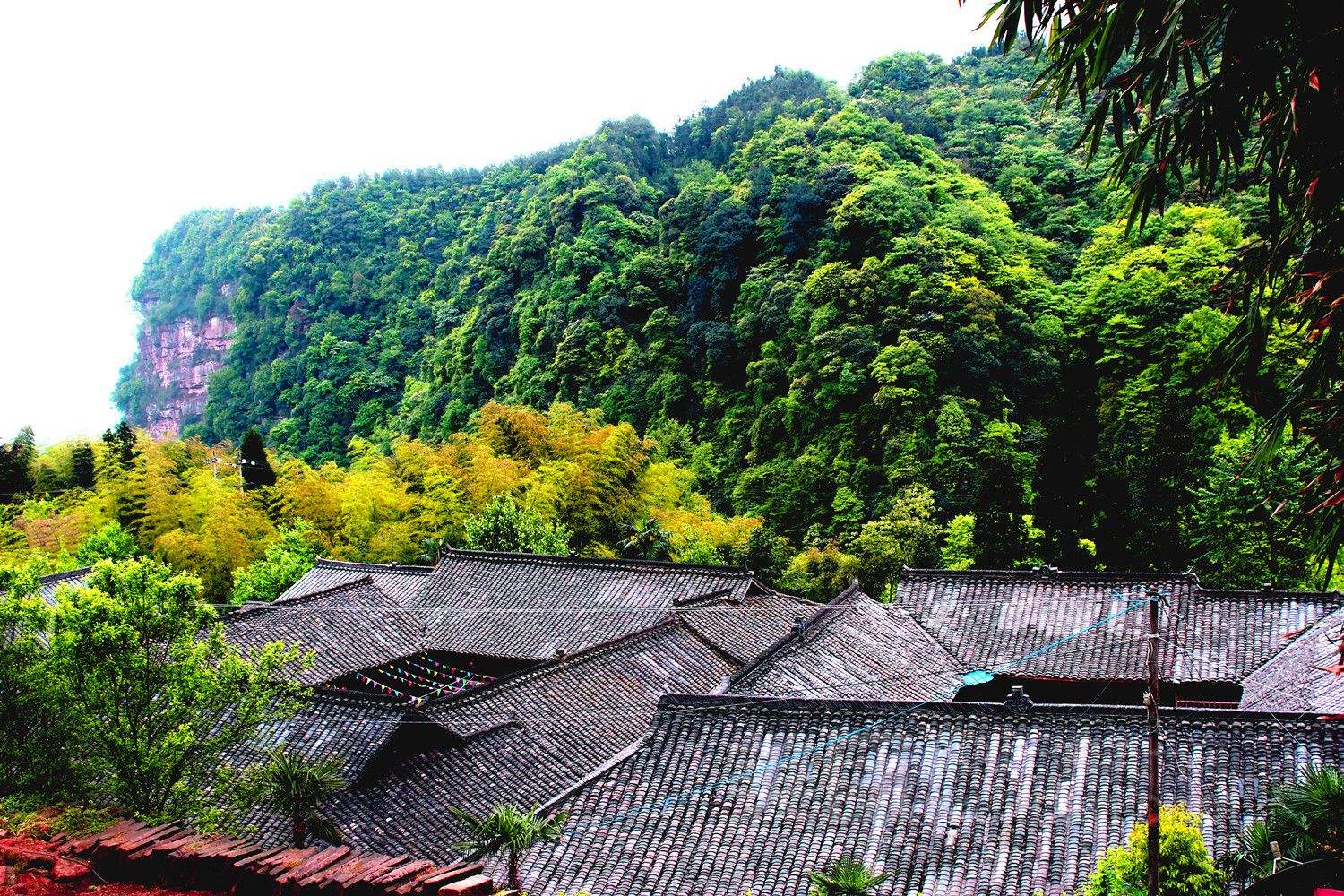 峨山景点 峨眉山 景点