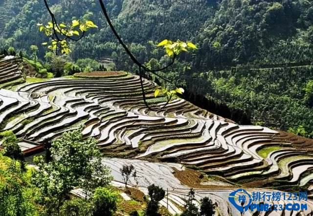 峨山景点 峨眉山 景点