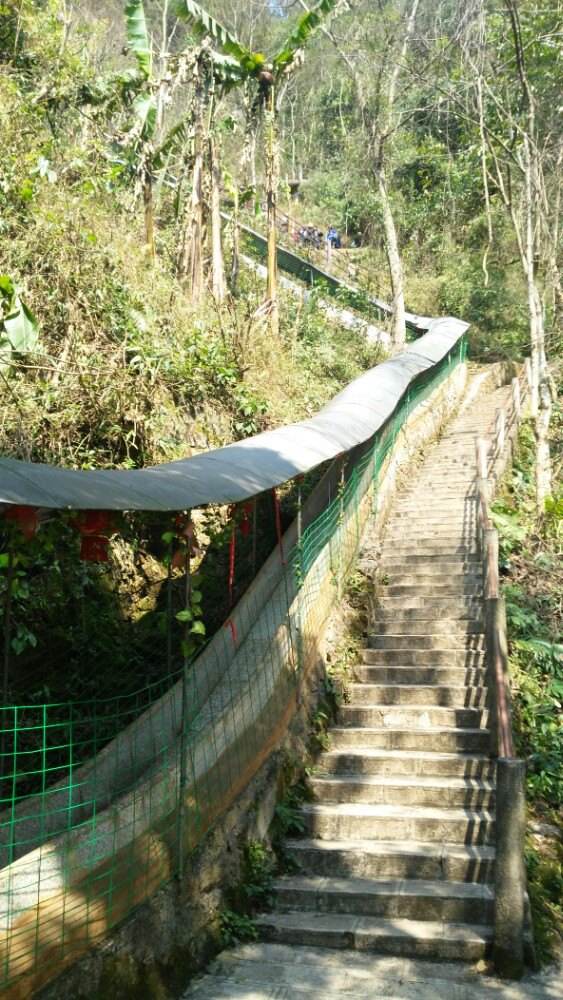 凤凰谷风景区 凤凰谷风景区门票多少钱