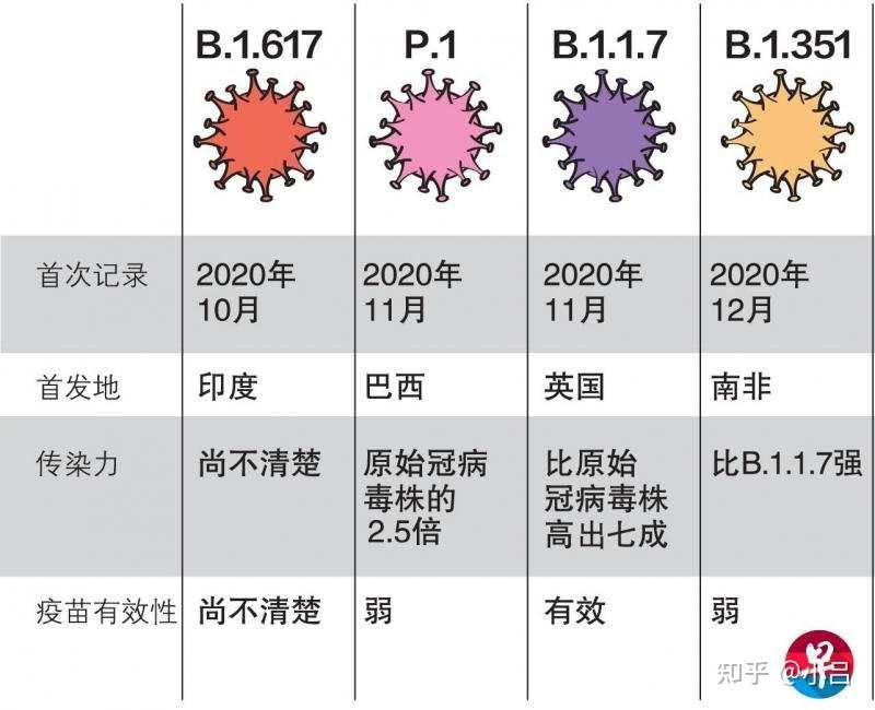 当下新冠病毒类型 目前新冠病毒的种类