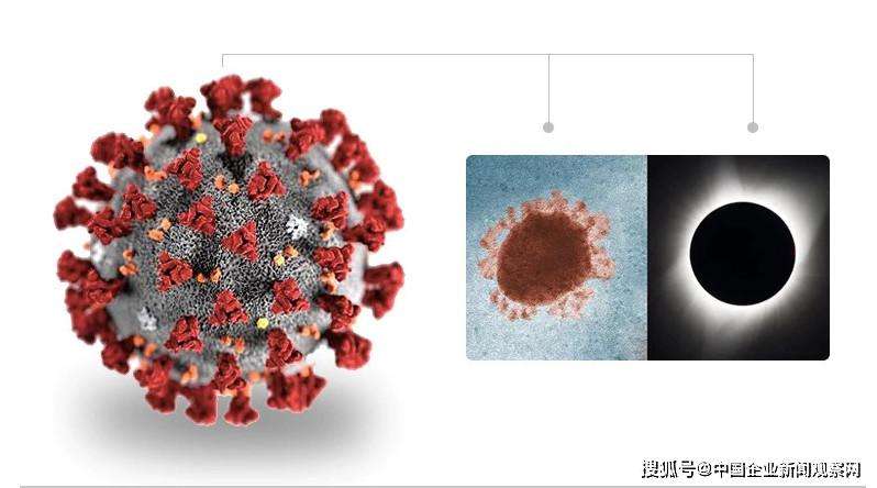 新冠病毒最早多久出现 新冠病毒最早多久出现传染性