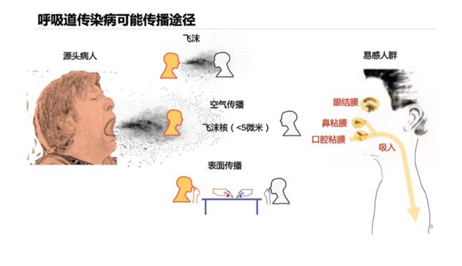 新冠疫情各种病毒区别 新冠疫情各种病毒区别图