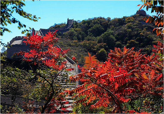 热门旅游景点推荐 热门旅游景点推荐理由