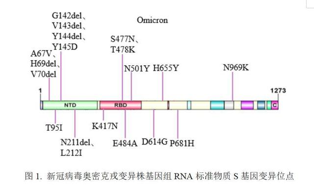 新冠检测到病毒dna 新冠检测到病毒dna,不足以测试阳性