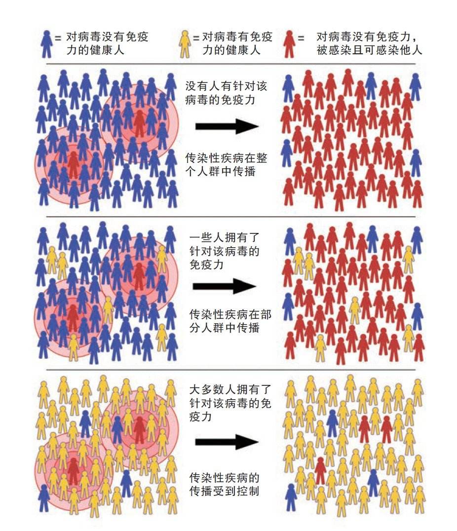 新冠病毒群体免疫计划 新冠病毒群体免疫计划表