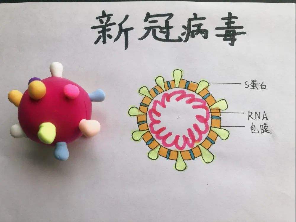 新冠病毒科学防疫棋 预防新冠病毒知识竞赛