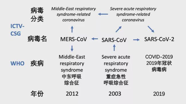 最早新冠病毒的命名 新冠病毒是根据什么命名的