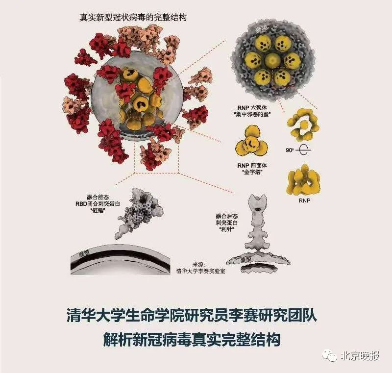 防新冠病毒的任务 新冠病毒的预防工作