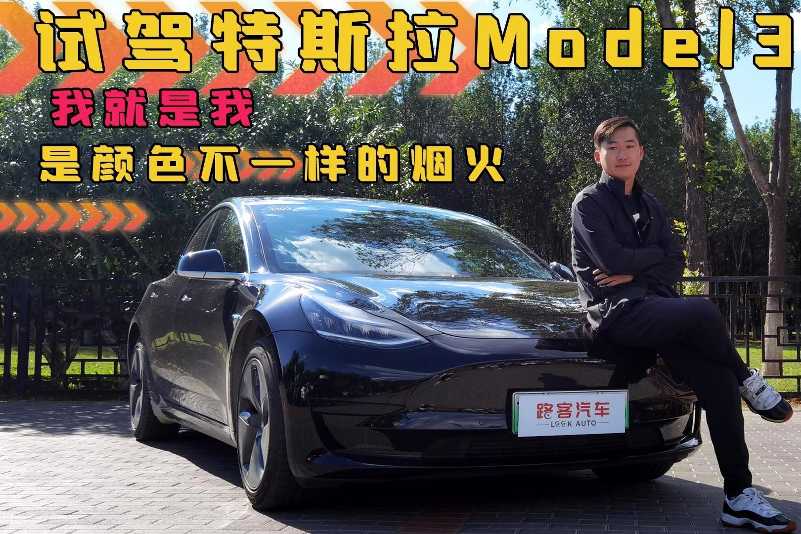 开model3的名人 开model3的都是什么女人