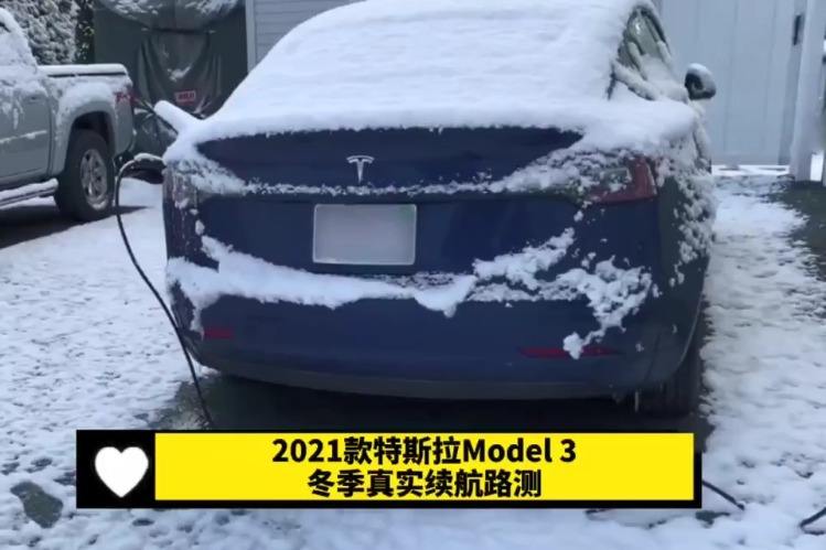 特斯拉model3穿搭 特斯拉model3搭载amd