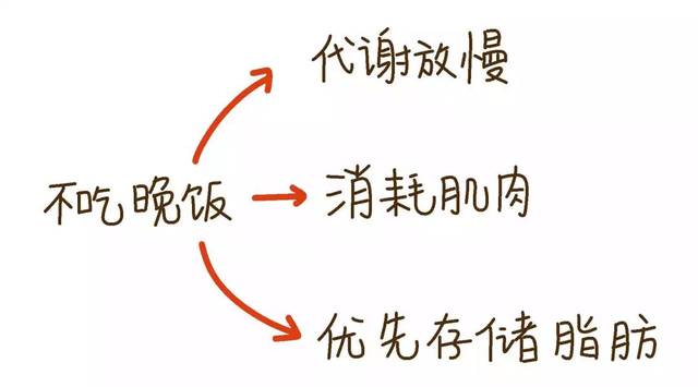 怎么可以才能减肥 怎么可以减肥,才能不伤害身体呢