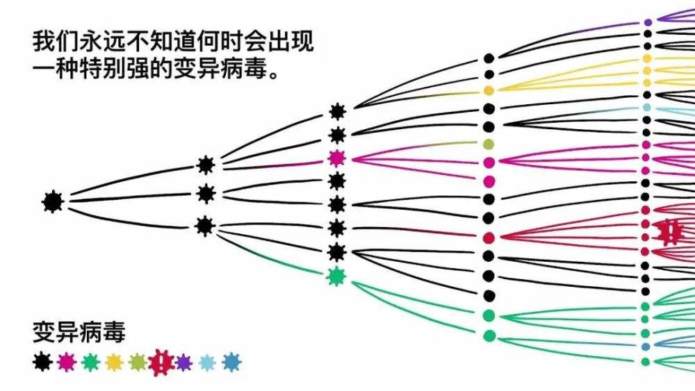 新冠病毒课程内容 新冠病毒的培训内容