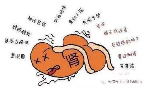 为什么肾阴虚 为什么肾阴虚怎么也补不回